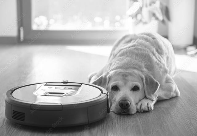 robot vacuum for labradors