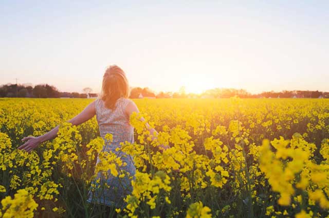 Gut microbiome effects on happiness