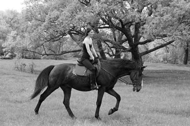 Beginner’s Guide to Horseback Riding