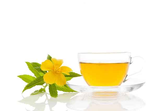 Damiana tea as medicine