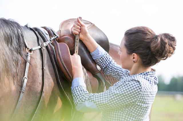 Mounting a Horse for women - Begiiner guide