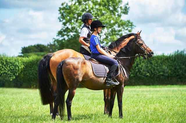 Safety tips for horseback riding